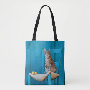 Niedliche Tabby Cat Kitten auf einem Foto mit blau