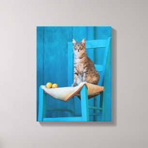 Niedliche Tabby Cat Kitten auf einem Foto mit blau Leinwanddruck