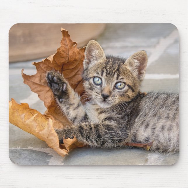 Niedliche Tabby Katze Kätzchen Spielen mit Leaf Mousepad (Vorne)