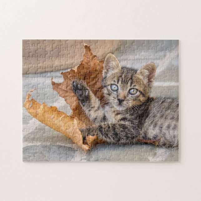 Niedliche Tabby-Katze mit Leder - Puzzle (Horizontal)
