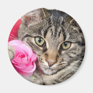 Niedliche Tabby-Katze mit Rose Magnet