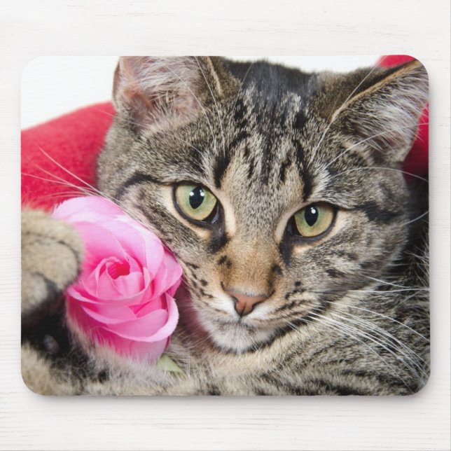 Niedliche Tabby-Katze mit Rose Mousepad (Vorne)