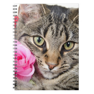 Niedliche Tabby-Katze mit Rose Notizblock