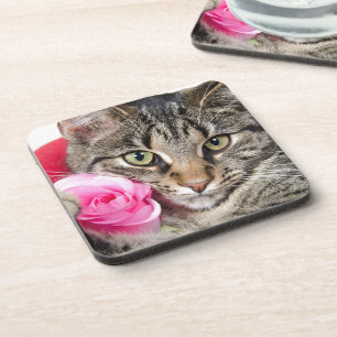 Niedliche Tabby-Katze mit Rose Untersetzer
