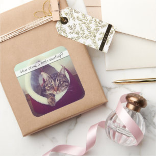 Niedliche Tabby Kitty in Hüttenfoto Vorlage Quadratischer Aufkleber