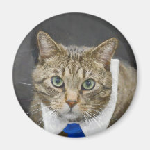 Niedliche Tablette Katze Brown Grau Blue Krawatte
