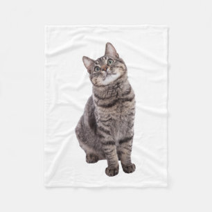 Niedliche Tablettenkatze Fleecedecke