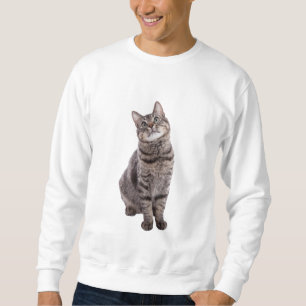 Niedliche Tablettenkatze Sweatshirt