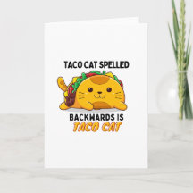 Niedliche Taco-Katze, lustige Taco-Katze, Taco- un