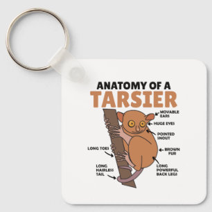 Niedliche Tarsier-Anatomie einer Tarsier-Erklärung Schlüsselanhänger