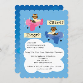 Niedliche Teddy Bären Piloten Flugzeug Geschlecht  Einladung