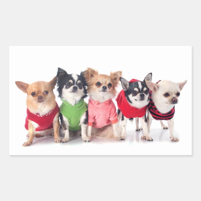 Niedliche Tiere Rechteckiger Aufkleber (Vorderseite)