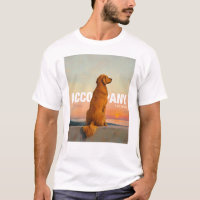 Niedliche Tiere