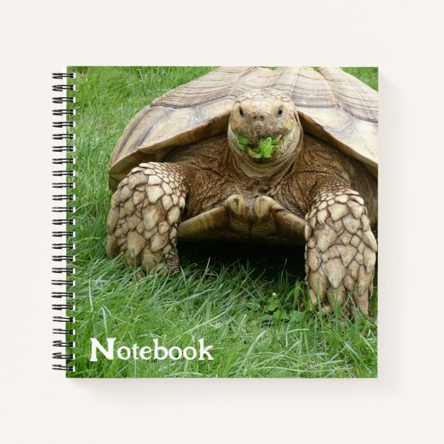 Niedliche Tortoise Lettuce Notizbuch (Vorderseite)