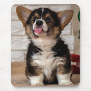 Niedliche Tri color Pembroke Welsh Corgi Welppy Do Mousepad