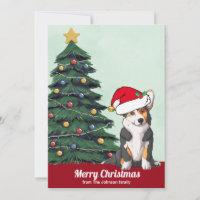Niedliche Tricolor Corgi mit Schwanz Weihnachten C