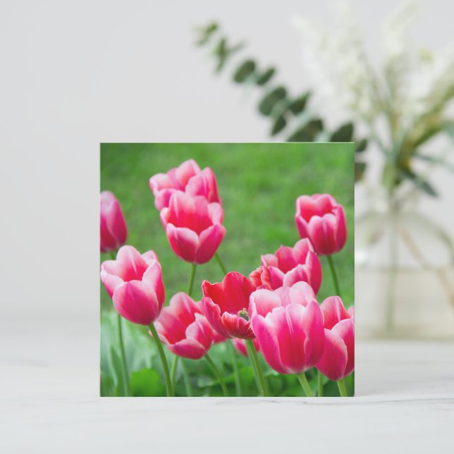 Niedliche Tulips im Garten (Stehend Vorderseite)