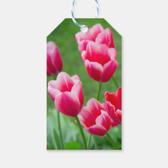 Niedliche Tulips im Garten Geschenkanhänger (Vorderseite)