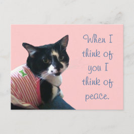 Niedliche Tuxedo Cat Denken Sie an Friedenspostkar Postkarte