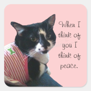 Niedliche Tuxedo-Katze Denken Sie an Peace Custom  Quadratischer Aufkleber