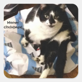Niedliche Tuxedo Katze Gegenwart Meowy Weihnachtsk Quadratischer Aufkleber