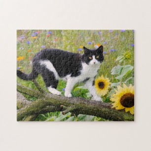 Niedliche Tuxedokatze auf einem Baumzweig mit Sonn Puzzle