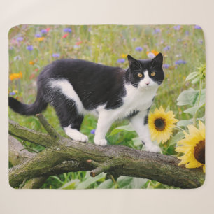 Niedliche Tuxedokatze auf einem Baumzweig mit Sonn Sherpadecke