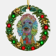 Niedliche und farbenfrohe Poodle Goldendoodle