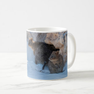 Niedliche und glückliche Quokkas am Strand Austral Kaffeetasse