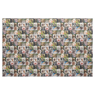 Niedliche und lustige Hunde Fotomaterial Stoff