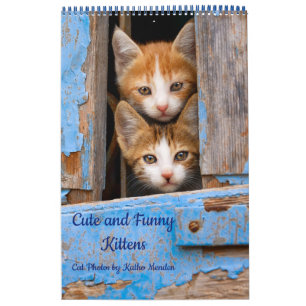 Niedliche und lustige Kittens Cat Foto Kalender