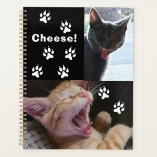 Niedliche und lustige lachende Katzen Planer