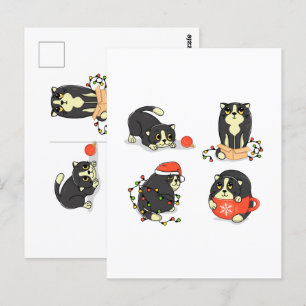 Niedliche und sonnige Weihnachtskatzen Postkarte