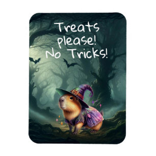Niedliche und witzige Halloween Capybara Magnet