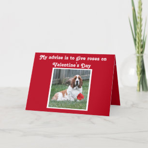 Niedliche Valentintagskarte mit Basset-Hund und Ro Feiertagskarte