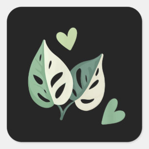 Niedliche Variegierung Monstera Adansonii Schweize Quadratischer Aufkleber