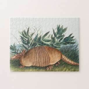 Niedliche Vintage Armadillo Illustration Puzzle