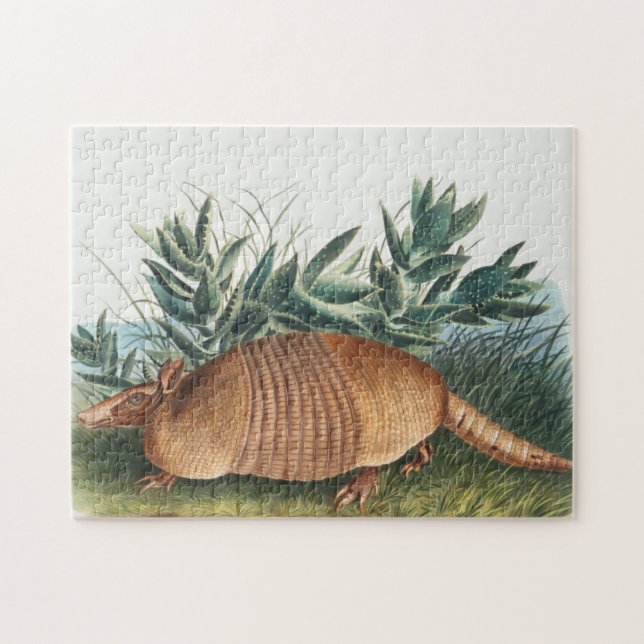 Niedliche Vintage Armadillo Illustration Puzzle (Horizontal)
