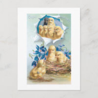 Niedliche Vintage Chicks, Blume & Ostern Gruß