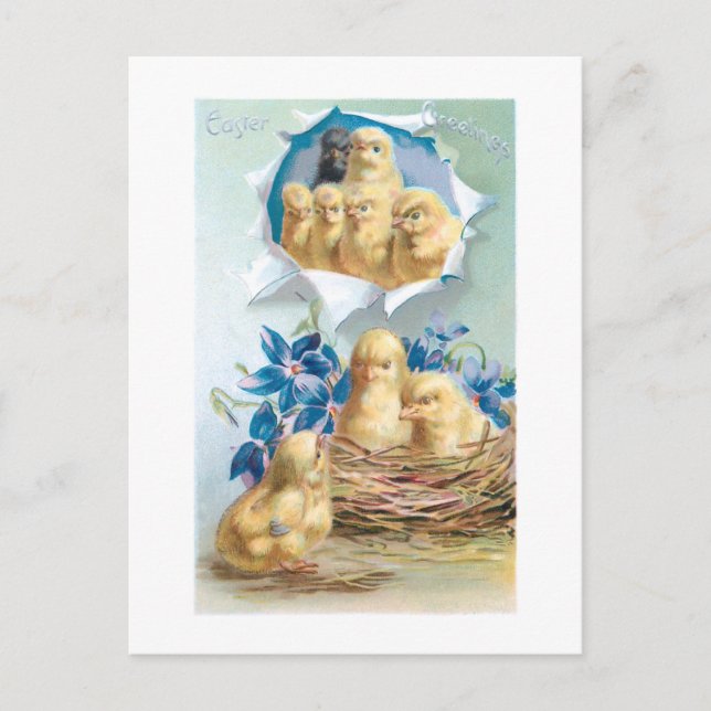 Niedliche Vintage Chicks, Blume & Ostern Gruß Postkarte (Vorderseite)