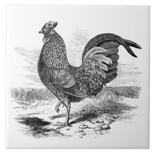 Niedliche Vintage Dachziegel Fliese