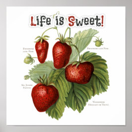 Niedliche Vintage Erdbeeren Sorten Das Leben ist s Poster