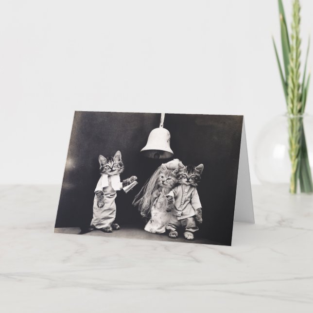 Niedliche Vintage Funny Kitten Couple Wedding Zere Karte (Vorderseite)