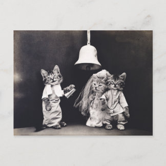 Niedliche Vintage Funny Kitten Couple Wedding Zere Postkarte