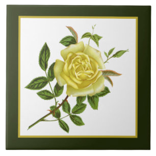 niedliche vintage-gelbe Rosen-Dekoration Fliese