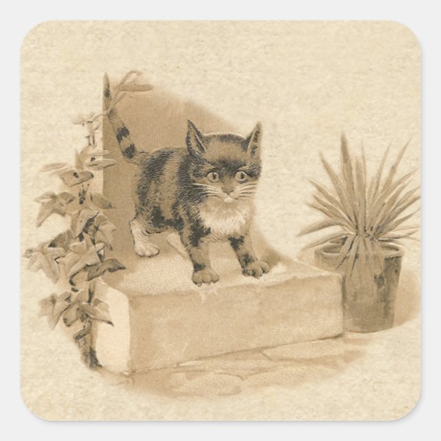Niedliche Vintage Katze Zeichnend antike französis Quadratischer Aufkleber (Vorderseite)