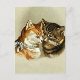 Niedliche Vintage Katzen Postkarte