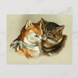 Niedliche Vintage Katzen Postkarte