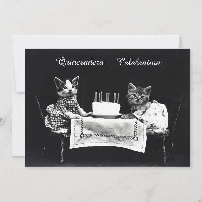 Niedliche Vintage Kitts Geburtstagsparty Einladung (Vorderseite)