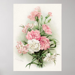 Niedliche Vintage Nelken Wohngestaltung Poster